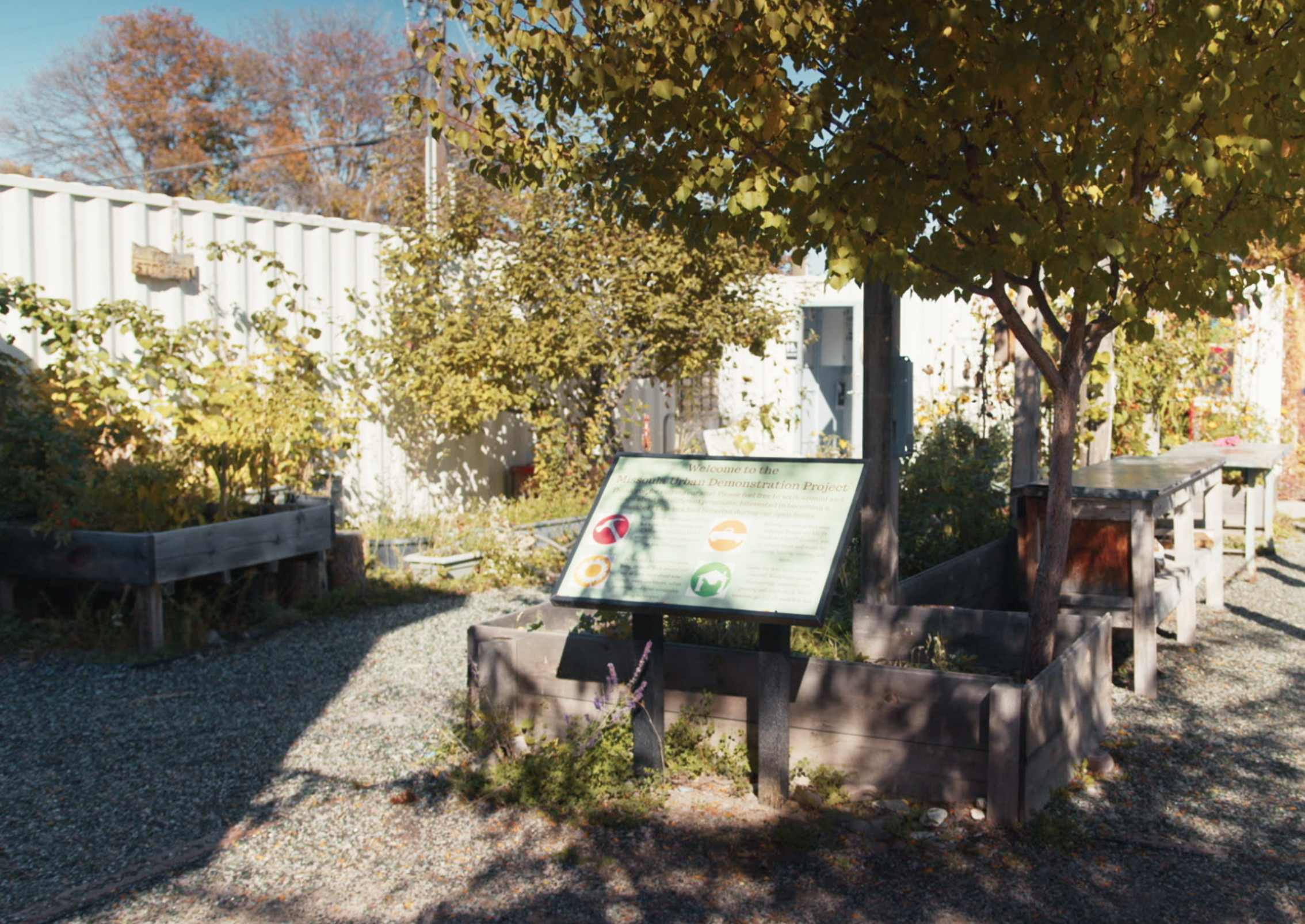 A small community garden with raised wooden beds, various plants, and an informational sign. Trees and shrubs are visible in the background under a clear sky.
